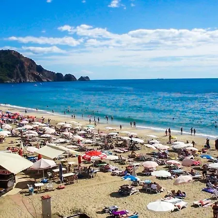 度假村 Kleopatra Royal Palm 4*