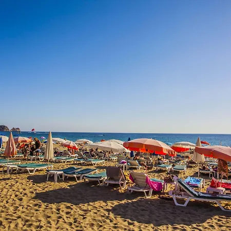 Kleopatra Royal Palm 4*