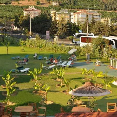 Kleopatra Royal Palm Курортный комплекс Алания